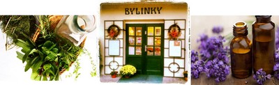 Bylinky