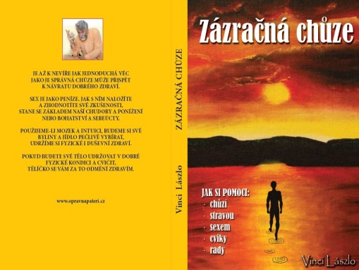 Ing.Vinci László